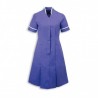 Mandarin Collar Dress (Purple With White Trim) - NF51