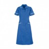 Soft Brushed Dress (Hospital Blue With White Trim) - D308
